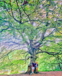 londres hampstead heath