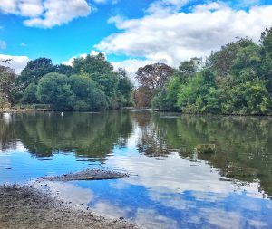 tooting common