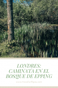 caminata bosque epping en londres