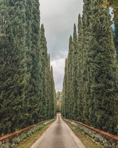 TUSCANY ROADTRIP ITINERARY FROM FLORENCE OR ROME