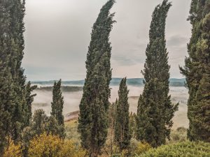 ITINERARIO DE VIAJE EN COCHE POR LA TOSCANA DESDE ROMA O FLORENCIA