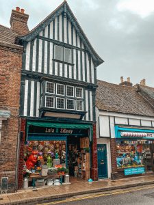 VISITING RYE & CAMBER SANDS BEACH